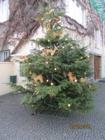 IMG_7511.jpg, 33kB
